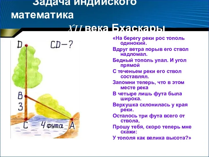 Задача индийского математика XII века Бхаскары «На берегу реки рос