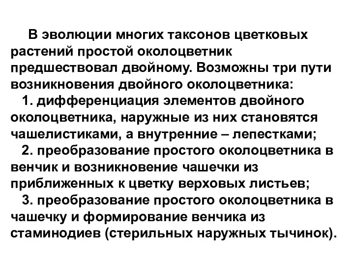 В эволюции многих таксонов цветковых растений простой околоцветник предшествовал двойному.