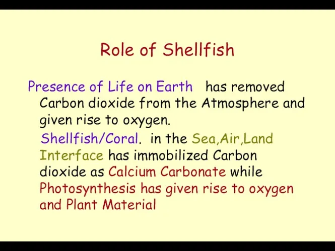 Role of Shellfish Presence of Life on Earth has removed