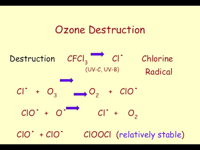 Ozone Destruction Destruction CFCl3 Cl. Chlorine (UV-C, UV-B) Radical Cl.