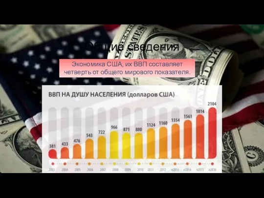 Общие сведения Экономика США, их ВВП составляет четверть от общего мирового показателя.