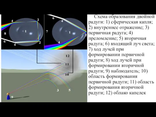 Схема образования двойной радуги: 1) сферическая капля; 2) внутреннее отражение;