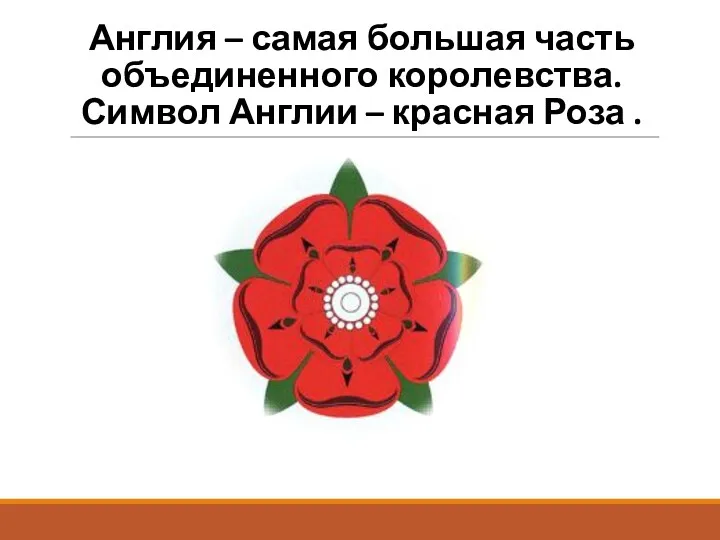 Англия – самая большая часть объединенного королевства. Символ Англии – красная Роза .