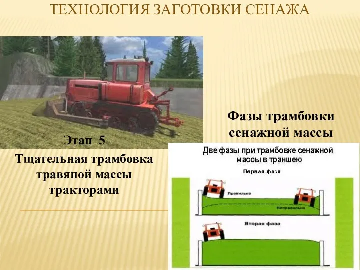 Этап 5 Тщательная трамбовка травяной массы тракторами Фазы трамбовки сенажной массы ТЕХНОЛОГИЯ ЗАГОТОВКИ СЕНАЖА