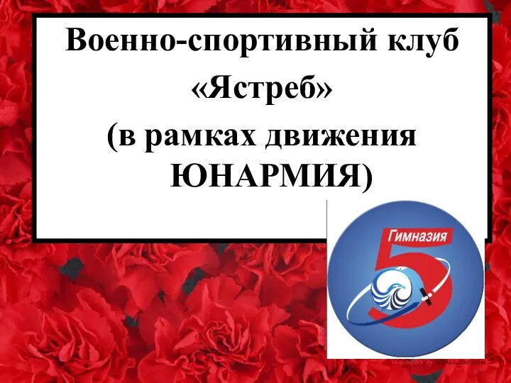 Военно-спортивный клуб «Ястреб» (в рамках движения ЮНАРМИЯ)