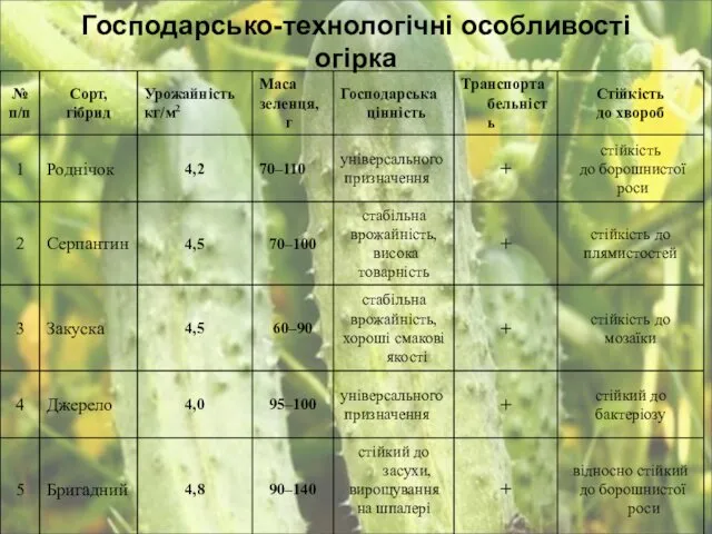 Господарсько-технологічні особливості огірка