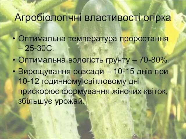 Агробіологічні властивості огірка Оптимальна температура проростання – 25-30С. Оптимальна вологість