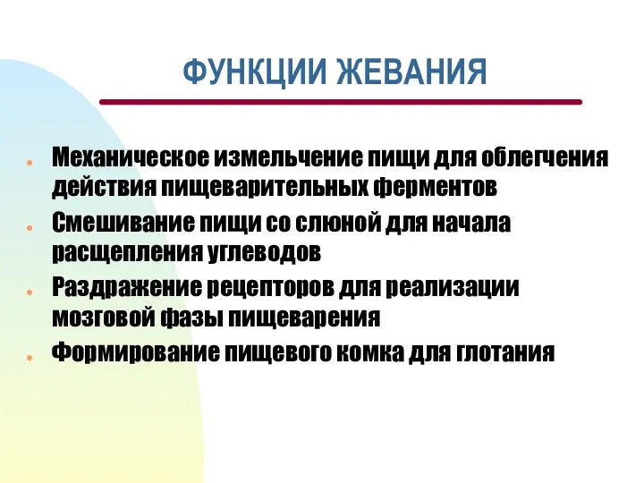 ФУНКЦИИ ЖЕВАНИЯ Механическое измельчение пищи для облегчения действия пищеварительных ферментов