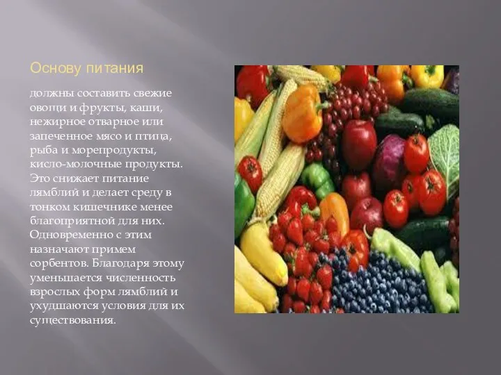 Основу питания должны составить свежие овощи и фрукты, каши, нежирное