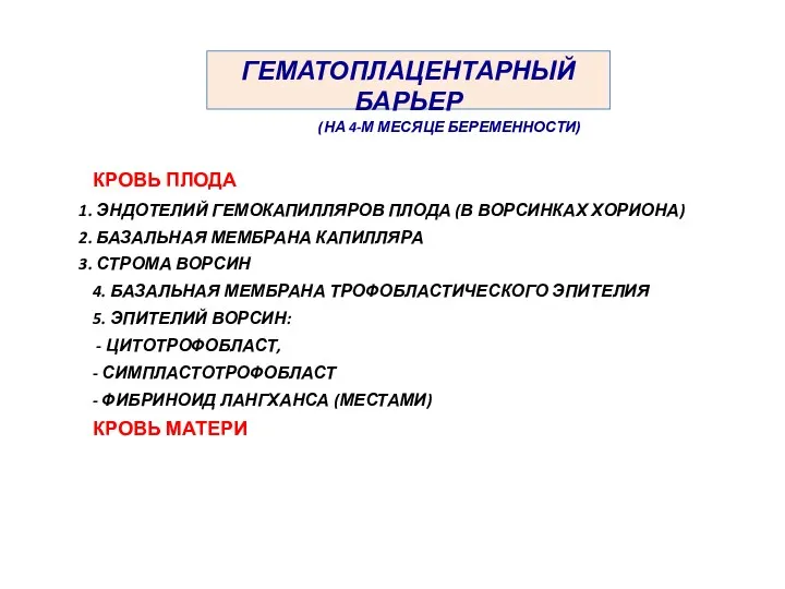 КРОВЬ ПЛОДА ЭНДОТЕЛИЙ ГЕМОКАПИЛЛЯРОВ ПЛОДА (В ВОРСИНКАХ ХОРИОНА) БАЗАЛЬНАЯ МЕМБРАНА КАПИЛЛЯРА СТРОМА ВОРСИН