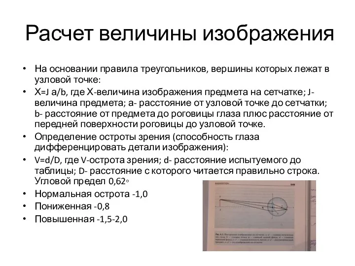 Расчет величины изображения На основании правила треугольников, вершины которых лежат