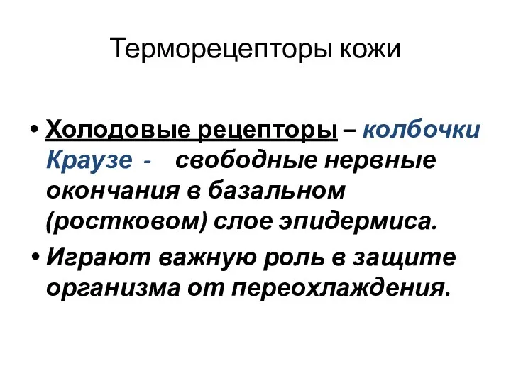 Терморецепторы кожи Холодовые рецепторы – колбочки Краузе - свободные нервные