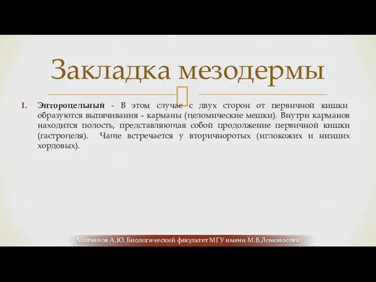 Энтороцельный - В этом случае с двух сторон от первичной