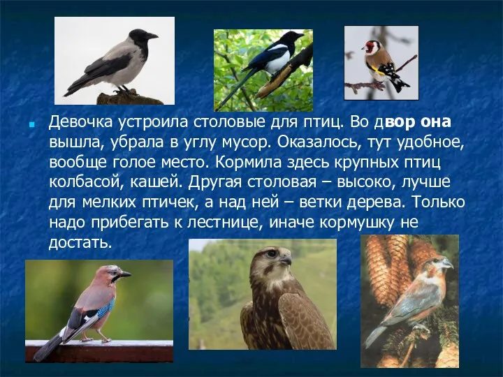 Девочка устроила столовые для птиц. Во двор она вышла, убрала