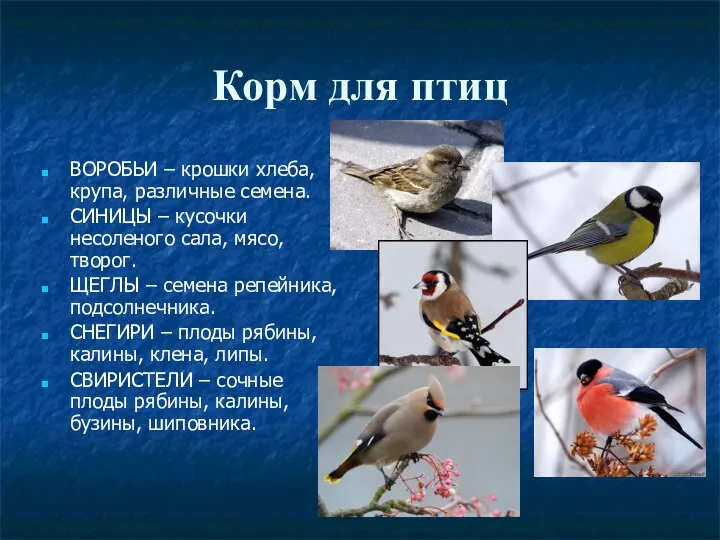 Корм для птиц ВОРОБЬИ – крошки хлеба, крупа, различные семена.