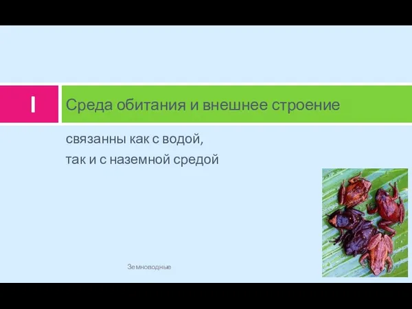 связанны как с водой, так и с наземной средой Среда обитания и внешнее строение Земноводные I