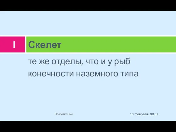 те же отделы, что и у рыб конечности наземного типа