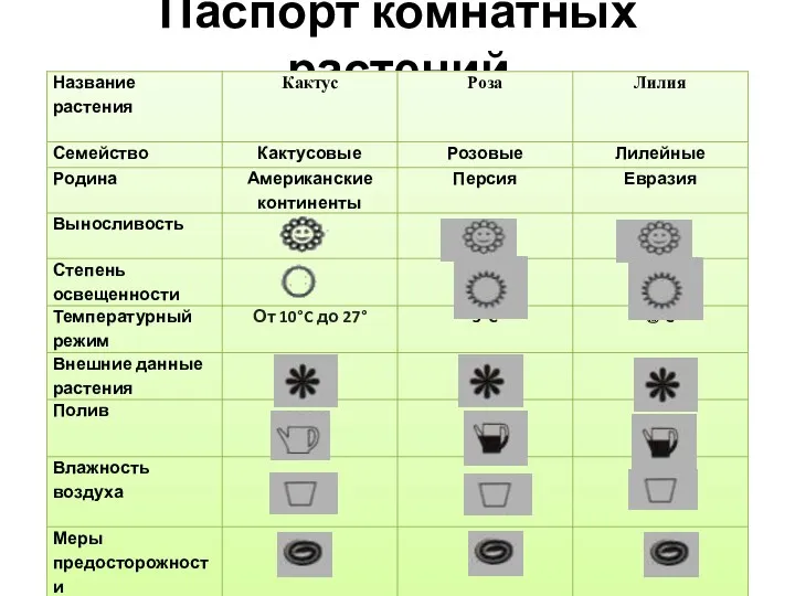 Паспорт комнатных растений