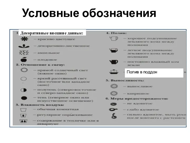 Условные обозначения Декоративные внешние данные: Полив в поддон