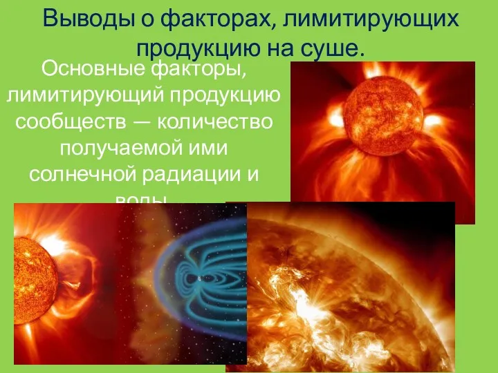 Выводы о факторах, лимитирующих продукцию на суше. Основные факторы, лимитирующий