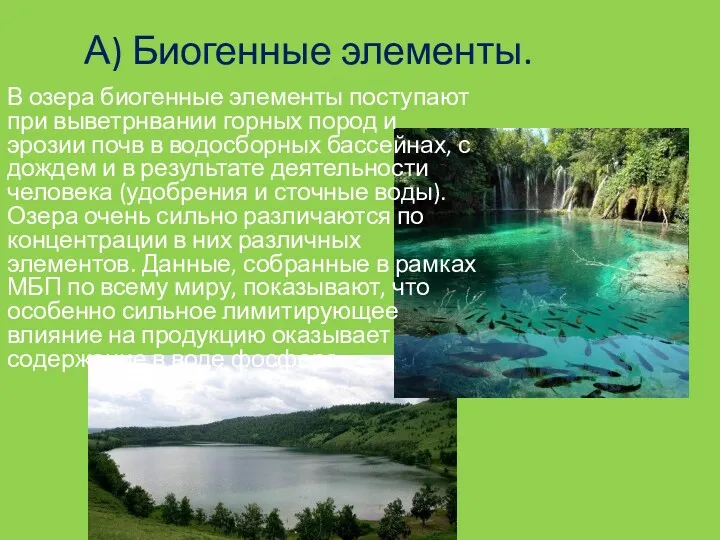 А) Биогенные элементы. В озера биогенные элементы поступают при выветрнвании