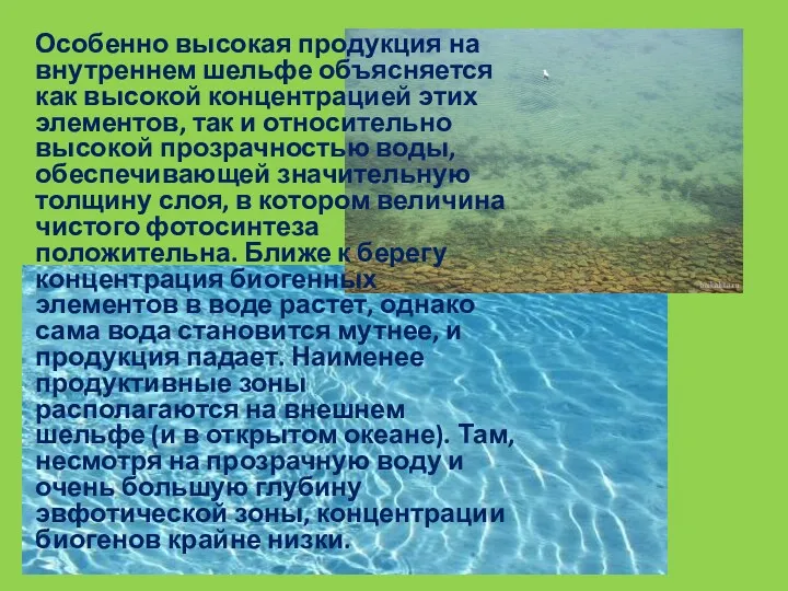 Особенно высокая продукция на внутреннем шельфе объясняется как высокой концентрацией