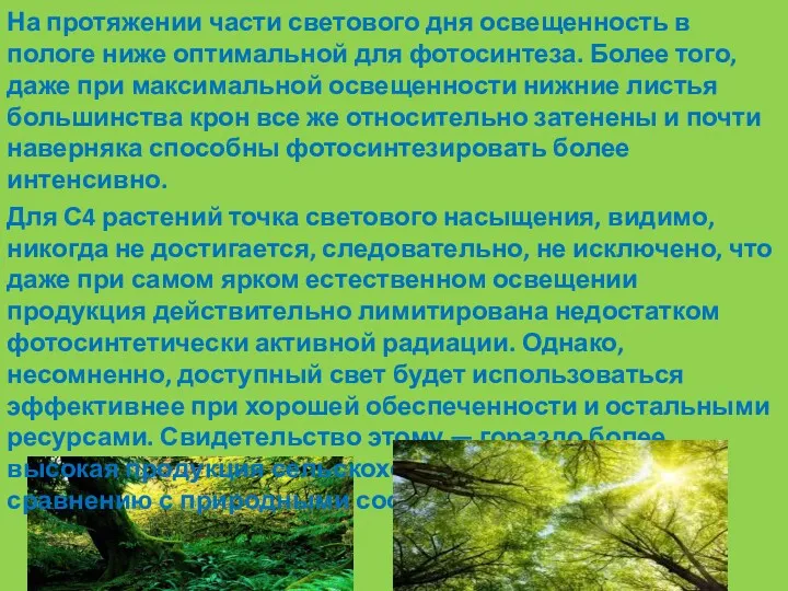 На протяжении части светового дня освещенность в пологе ниже оптимальной