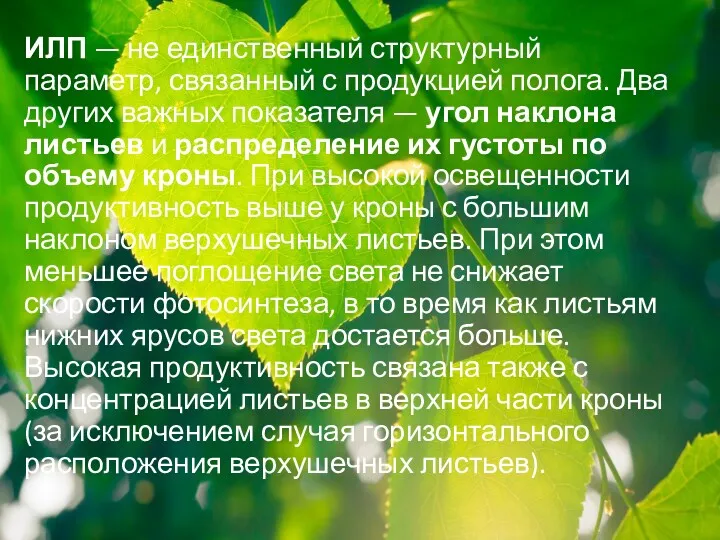 ИЛП — не единственный структурный параметр, связанный с продукцией полога.