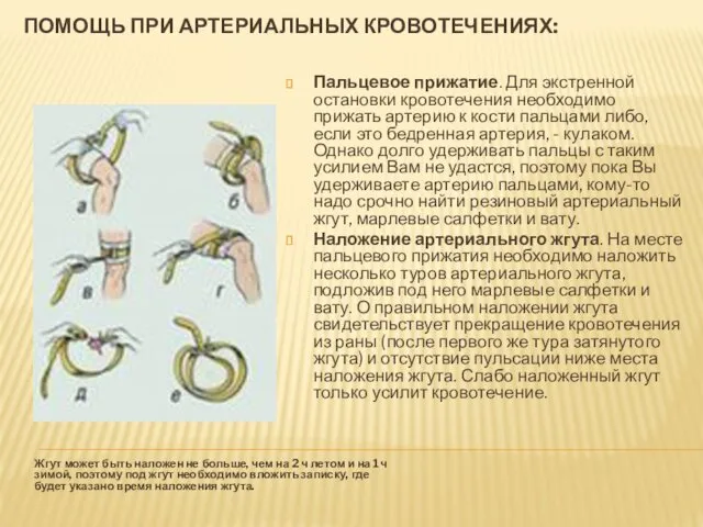 ПОМОЩЬ ПРИ АРТЕРИАЛЬНЫХ КРОВОТЕЧЕНИЯХ: Жгут может быть наложен не больше,