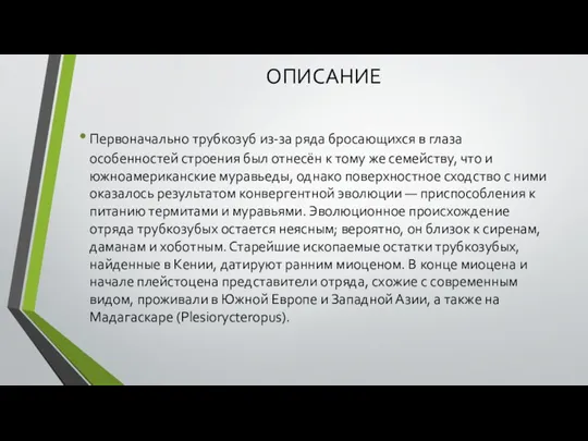 ОПИСАНИЕ Первоначально трубкозуб из-за ряда бросающихся в глаза особенностей строения