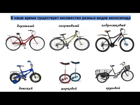 В наше время существует множество разных видов велосипеда