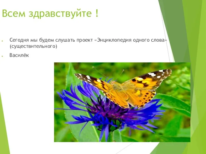 Всем здравствуйте ! Сегодня мы будем слушать проект «Энциклопедия одного слова»(существительного) Василёк