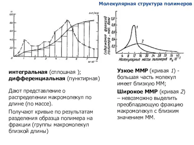 Узкое ММР (кривая 1) - большая часть молекул имеет близкую