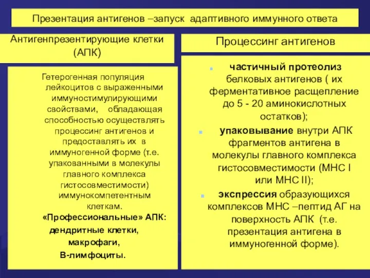 Презентация антигенов –запуск адаптивного иммунного ответа Антигенпрезентирующие клетки (АПК) Гетерогенная