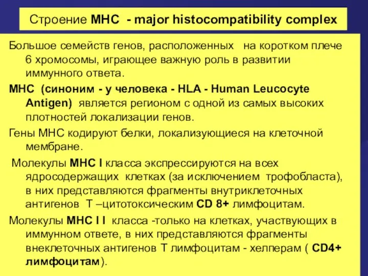Строение MHC - major histocompatibility complex Большое семейств генов, расположенных на коротком плече