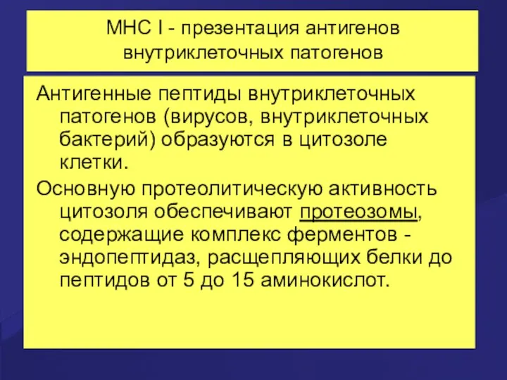 MHC I - презентация антигенов внутриклеточных патогенов Антигенные пептиды внутриклеточных