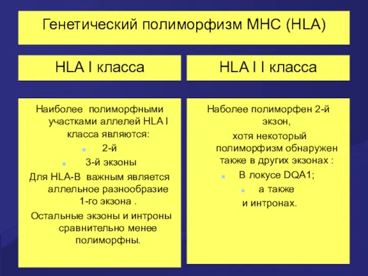 Генетический полиморфизм MHC (HLA) HLA I класса Наиболее полиморфными участками аллелей HLA I