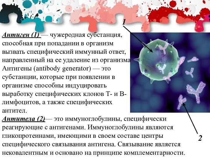 Антиген (1) — чужеродная субстанция, способная при попадании в организм