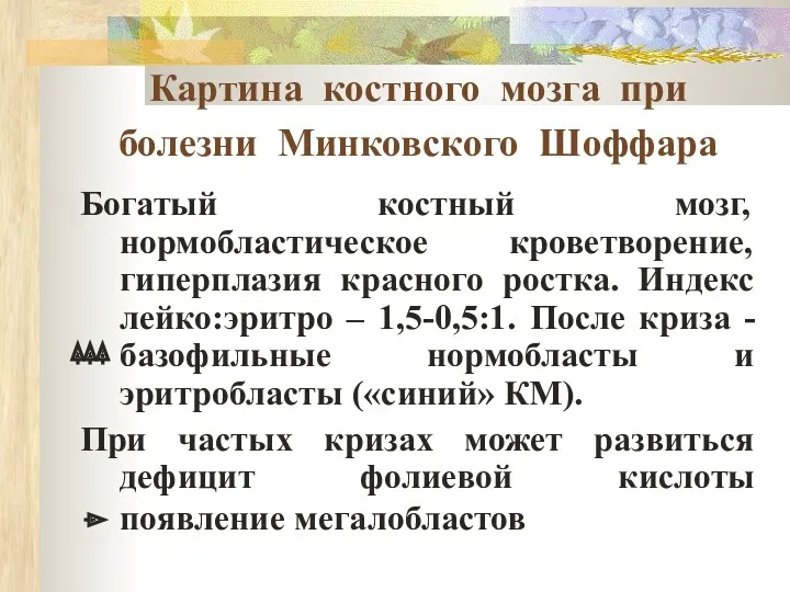 Картина костного мозга при болезни Минковского Шоффара Богатый костный мозг,