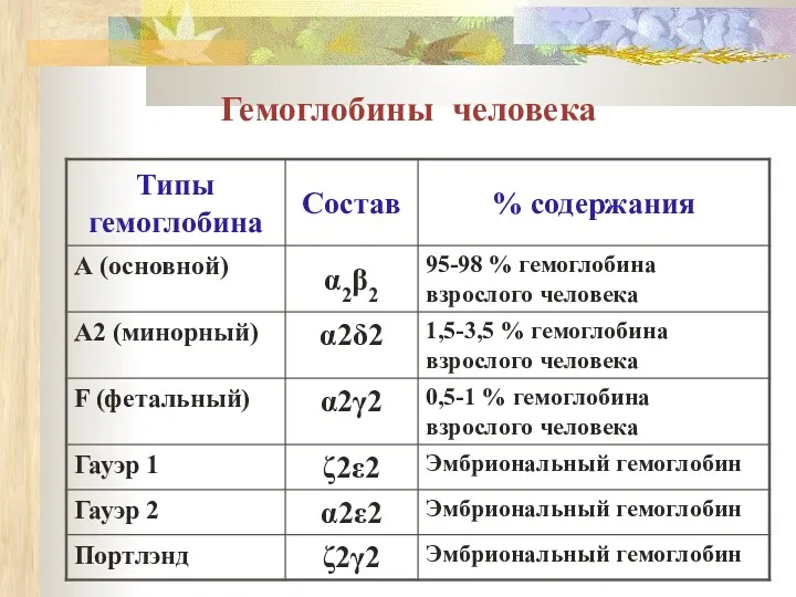 Гемоглобины человека