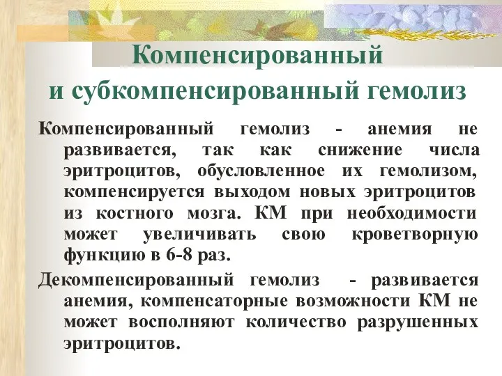 Компенсированный и субкомпенсированный гемолиз Компенсированный гемолиз - анемия не развивается,