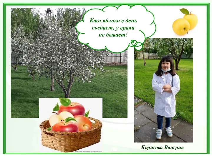 Борисова Валерия Кто яблоко в день съедает, у врача не бывает!