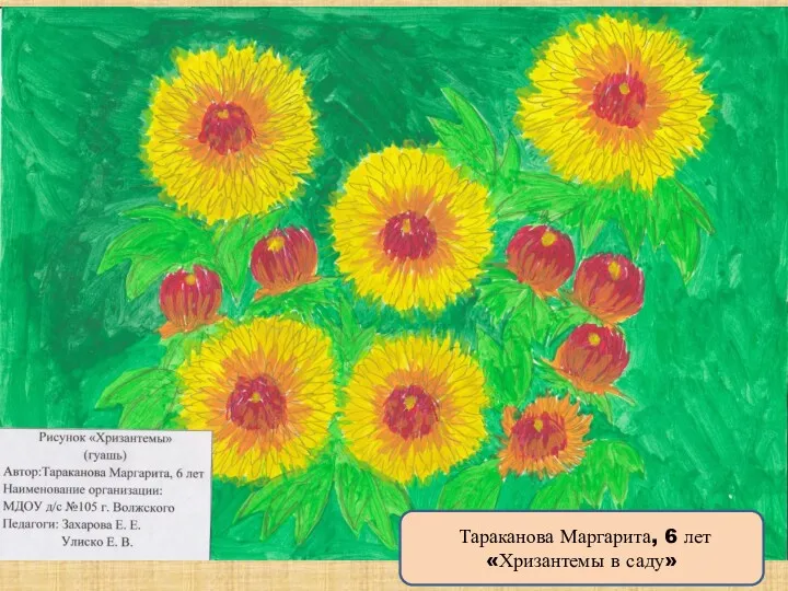 Тараканова Маргарита, 6 лет «Хризантемы в саду»