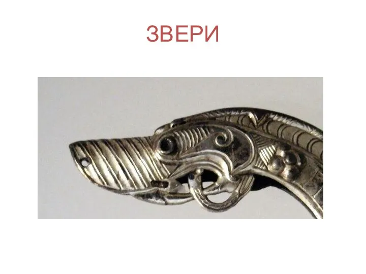 ЗВЕРИ