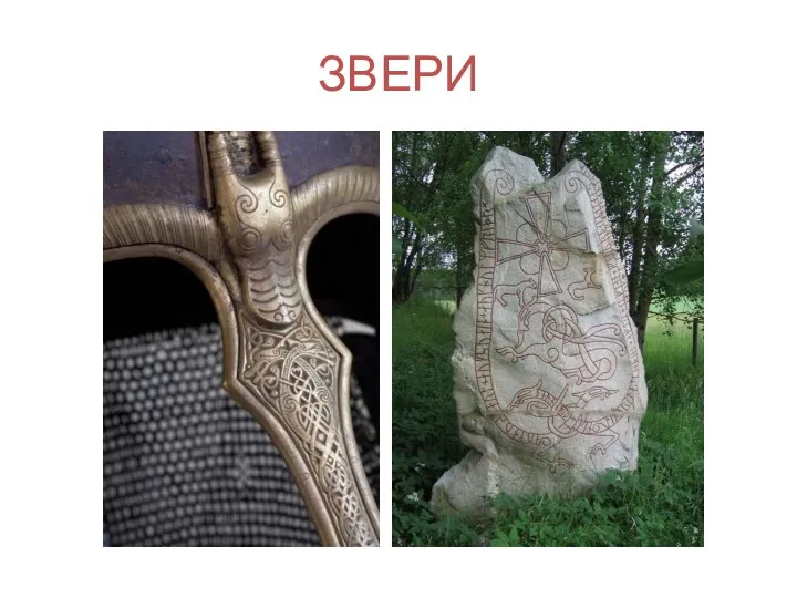 ЗВЕРИ