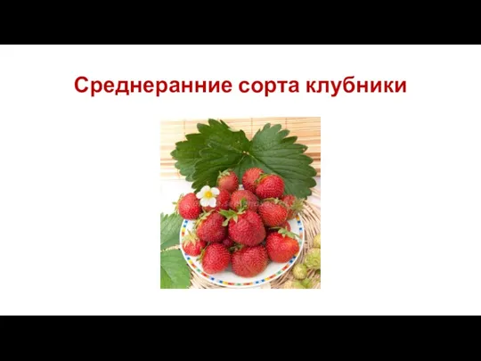 Среднеранние сорта клубники