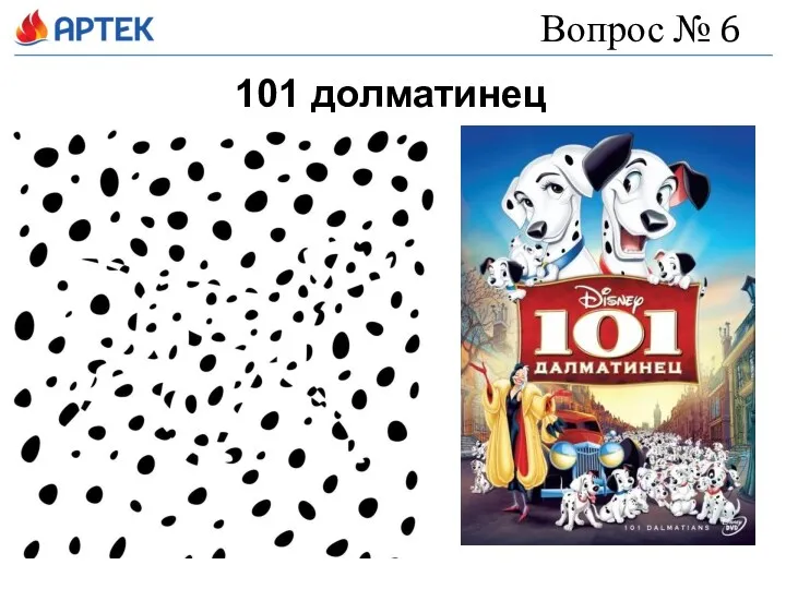 Вопрос № 6 101 долматинец