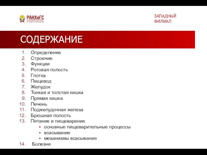 СОДЕРЖАНИЕ Определение Строение Функции Ротовая полость Глотка Пищевод Желудок Тонкая