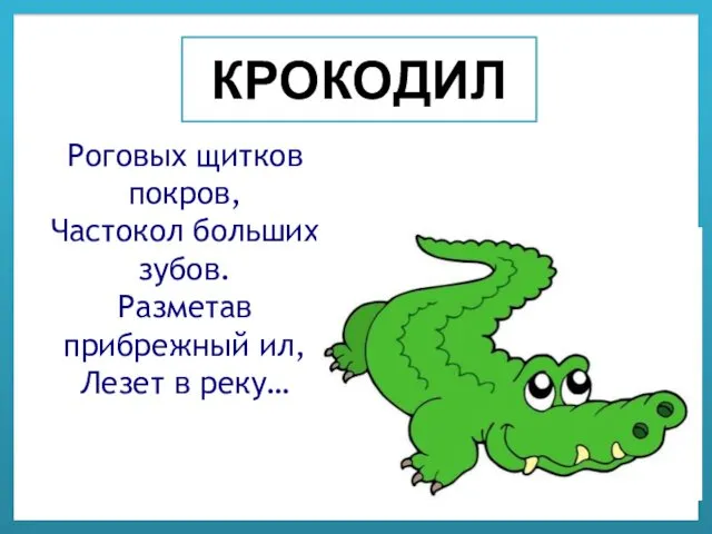 КРОКОДИЛ Роговых щитков покров, Частокол больших зубов. Разметав прибрежный ил, Лезет в реку…