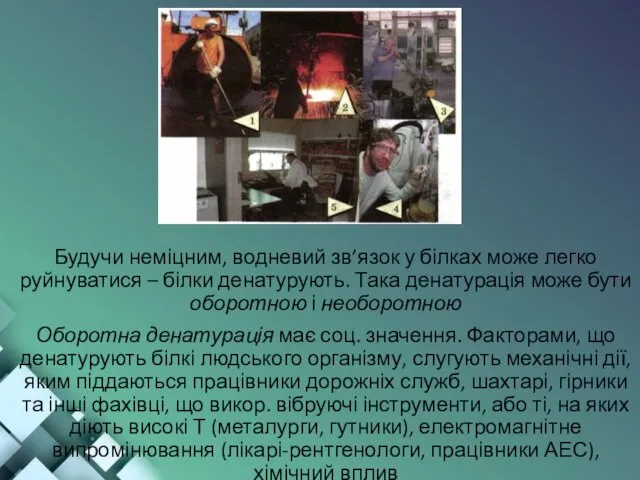 Будучи неміцним, водневий зв’язок у білках може легко руйнуватися –